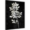Plant Life White on Black II by Danielle Carson Canvas Wall Art Print Framed